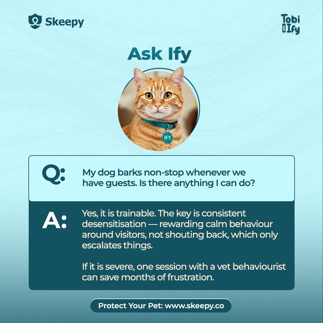 Skeepy tweet media