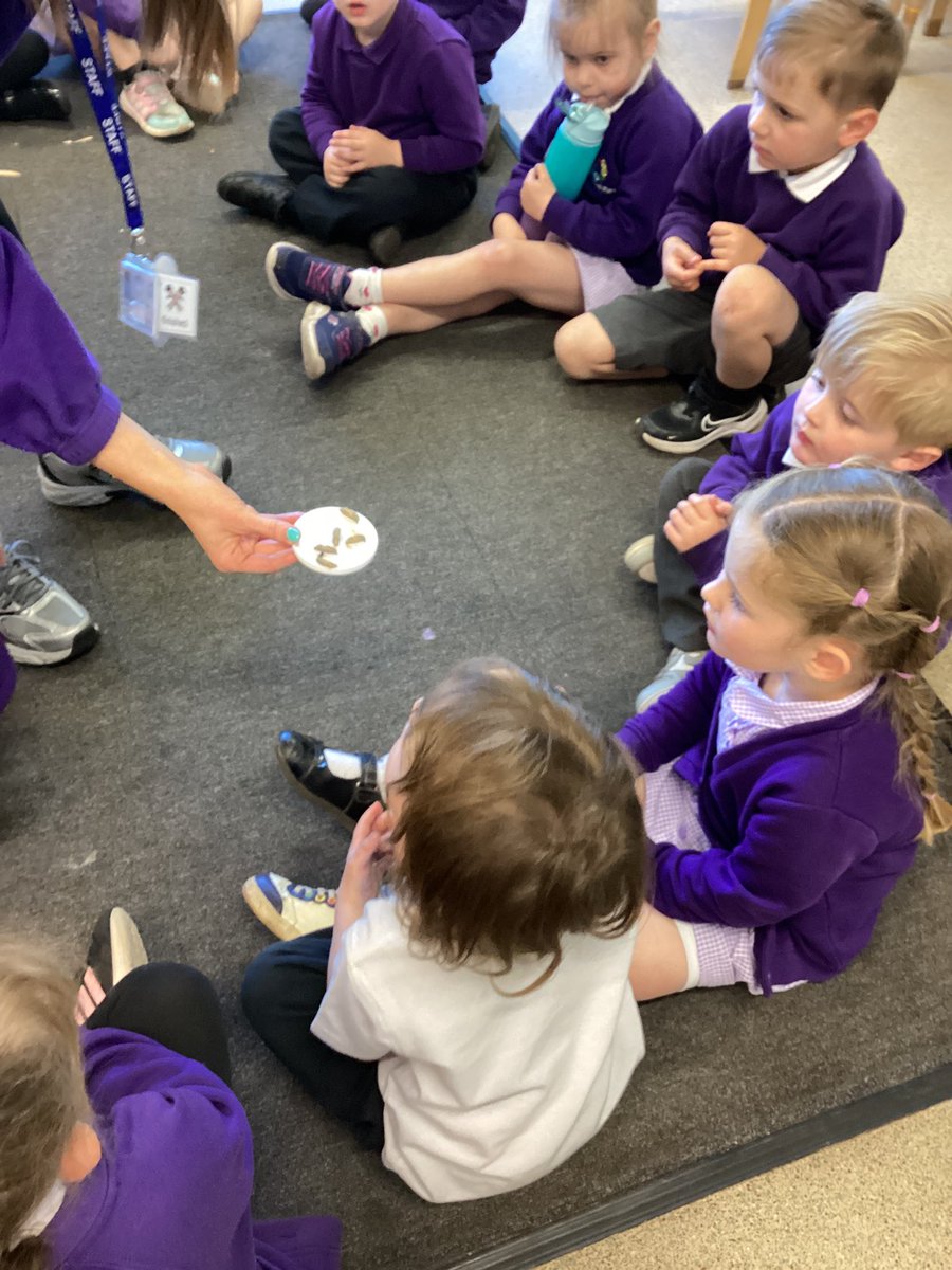 Nursery tweet media