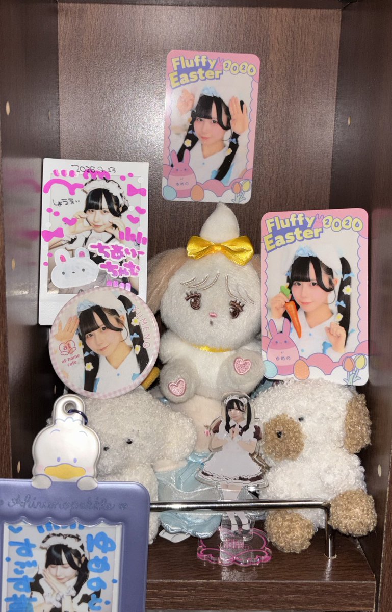 7dnldskn's tweet photo. #超ゆめの教ゆめの大祭壇 https://t.co/avlRIM6VN0
