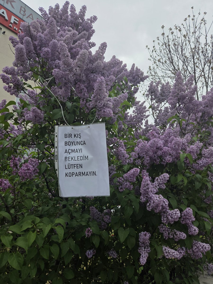 ışık (@itsmydeathdear) on Twitter photo 