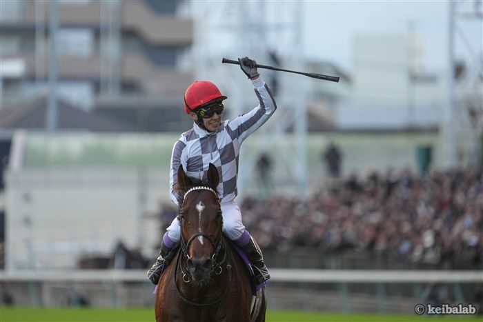 競馬ラボ tweet media