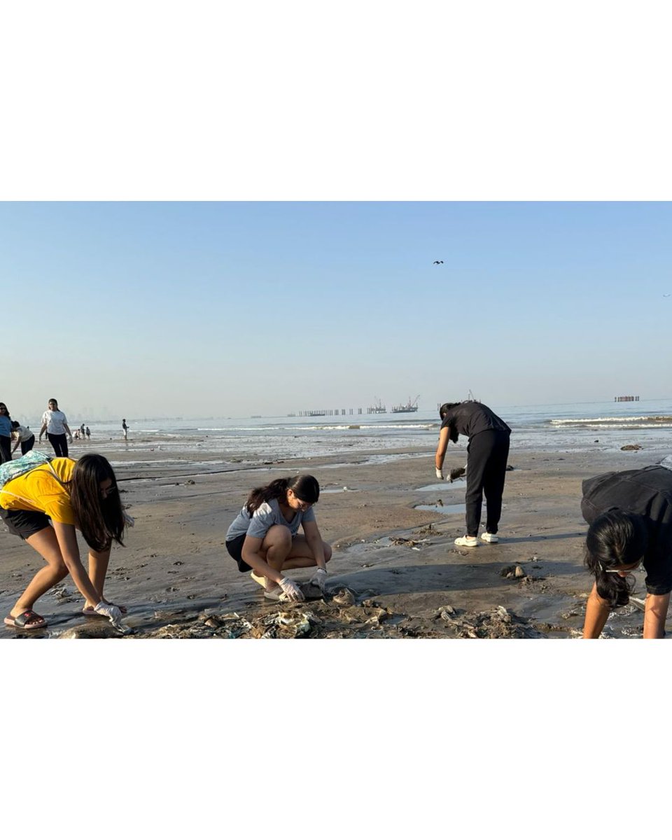 Beach Warriors India tweet media