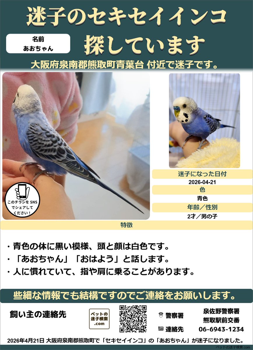あおちゃん tweet media