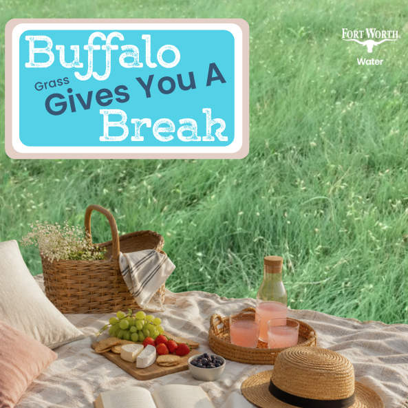 FWWater's tweet photo. Your sunny, warm yard called us. It wants a softer era.

Switch to native Buffalo grass for warm-weather comfort, less watering, less mowing, and deep roots that keep things picnic-ready, once established.

Soft for the picnic. Tough in the heat. That’s range and savings. https://t.co/kKPvRHiCdR