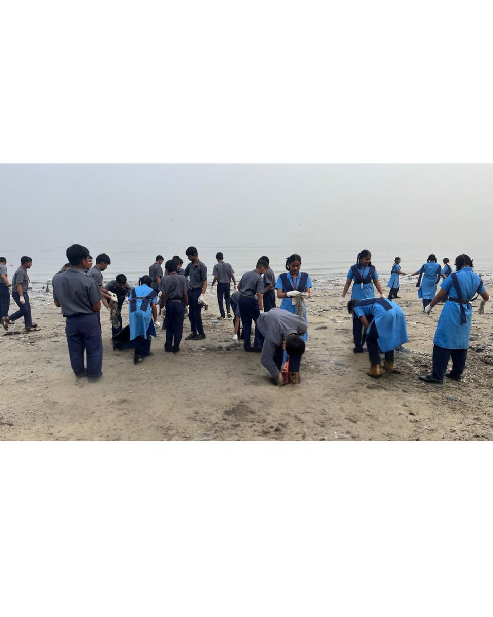 Beach Warriors India tweet media