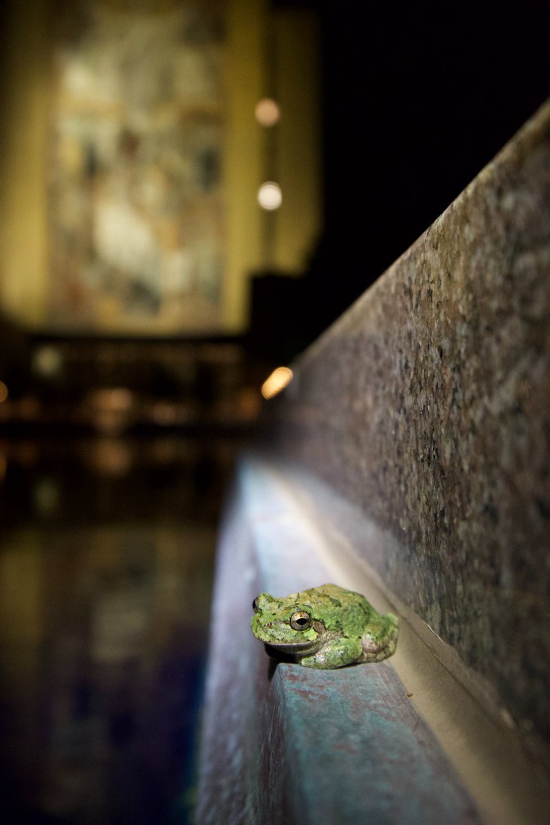 Notre Dame Science tweet media