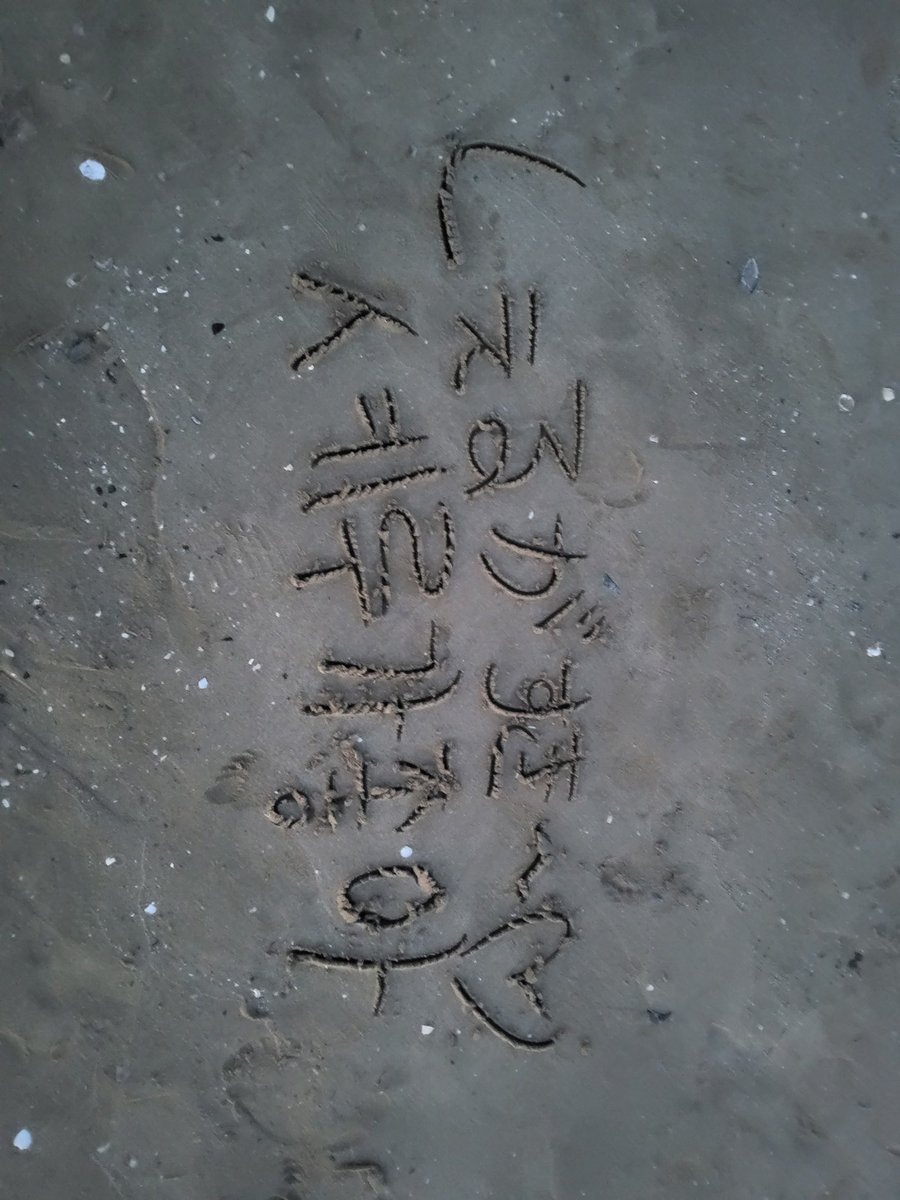 하루 はる tweet media