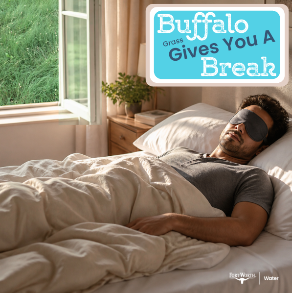 FWWater's tweet photo. Sleep in, the grass is handled. Buffalo grass stays soft and tough in sunny yards, including those sidewalk strips that always need attention.

Native varieties top out at around 6 to 10 inches, so once established, they need less mowing, little to no fertilizer, and less water. https://t.co/F7fUJhRPa4