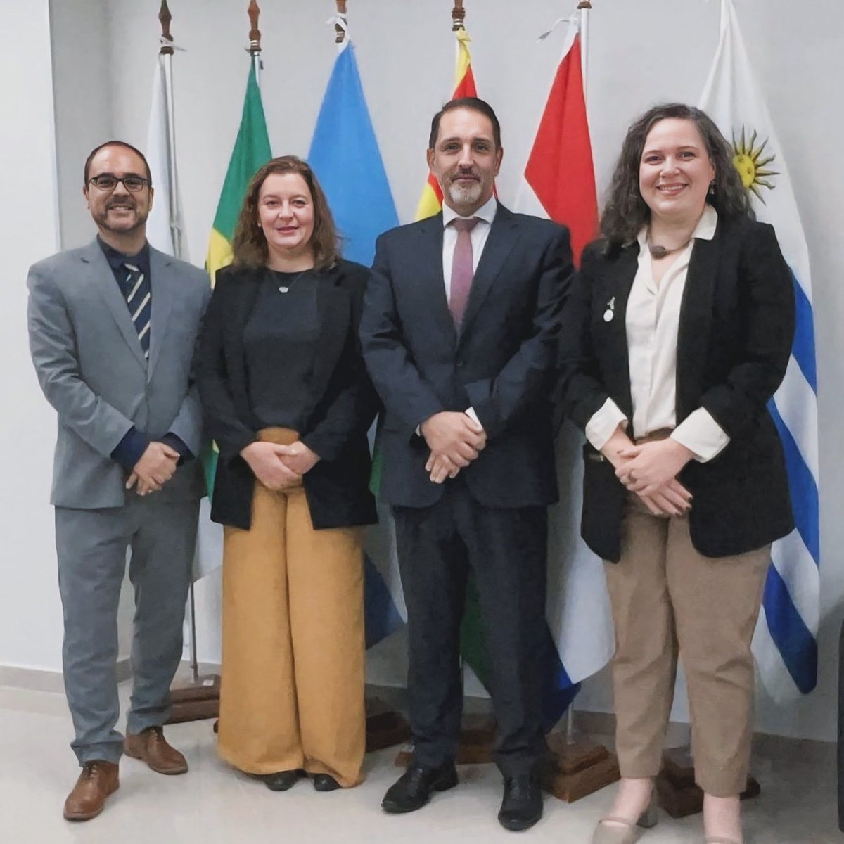 Instituto Social del MERCOSUR (ISM) tweet media