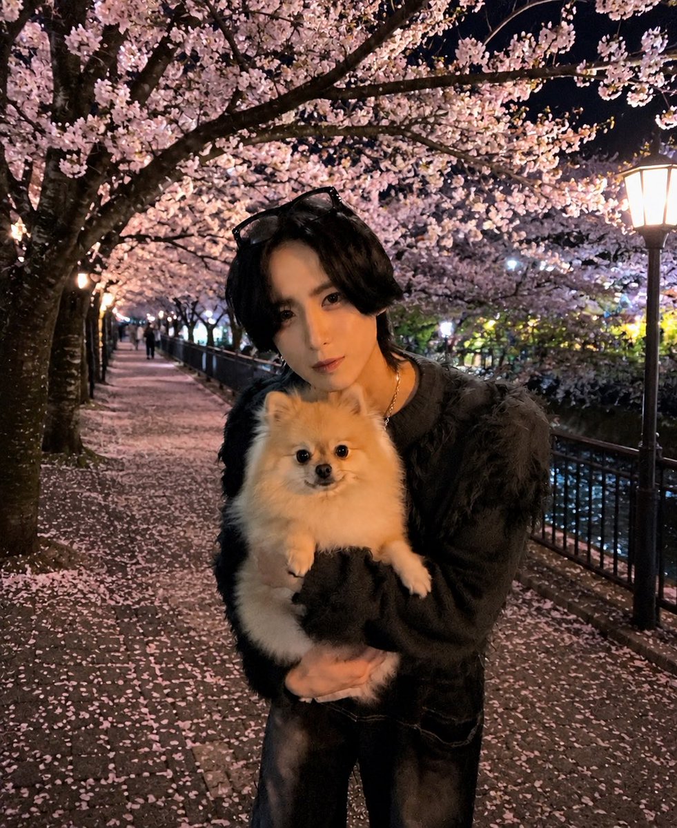 もち Tzuyu1st tweet media