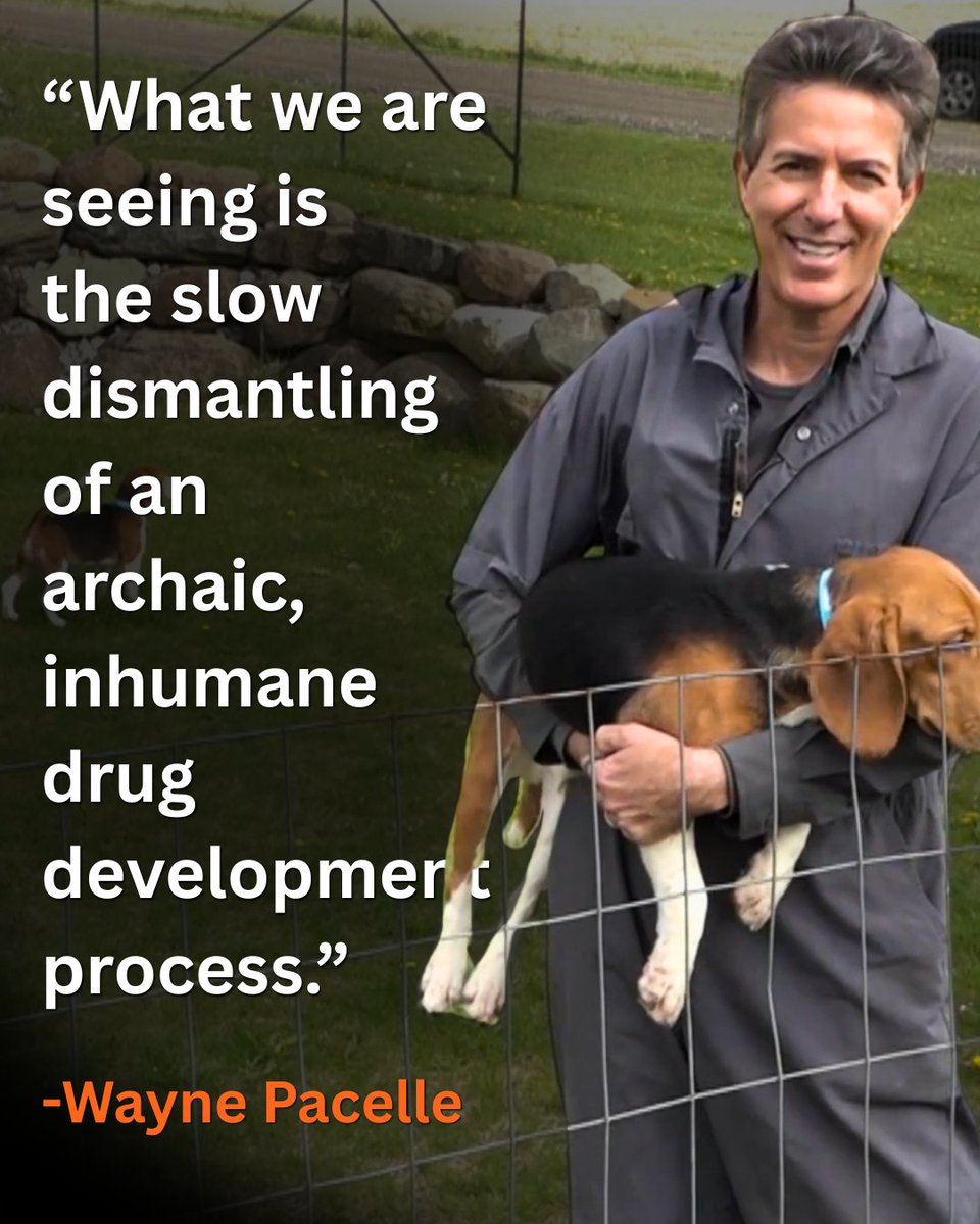 Wayne P Pacelle tweet media