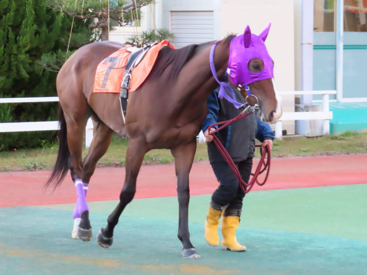 ぺこ (@peko6048) / Posts / X