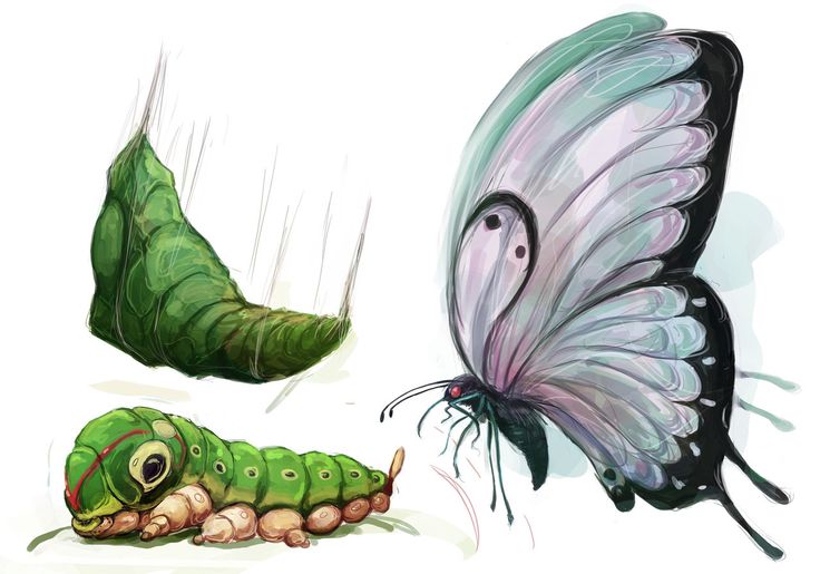 MetapodKing's tweet photo. Metapod Art, circa 1630.

#Metapod https://t.co/19AUz6ouCI