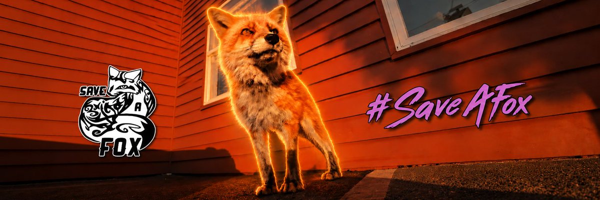 hubz tweet media