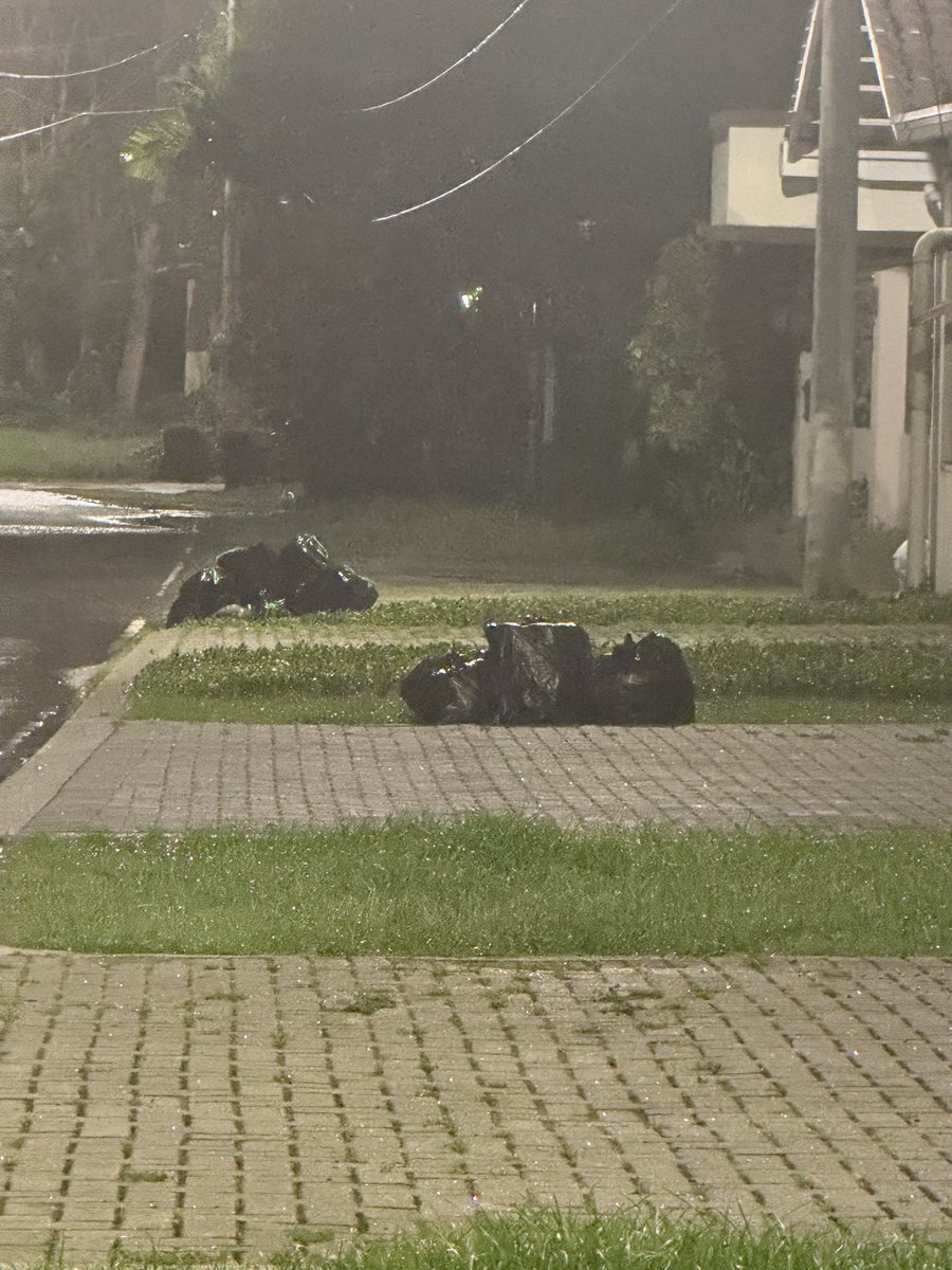 saladon09's tweet photo. @AAUD_Panama @Panamaalcaldia 
Señores no se aguanta la basura, para cuando el camión recolector?

https://t.co/6cD7bsUtbF https://t.co/KSEMXlHsLk