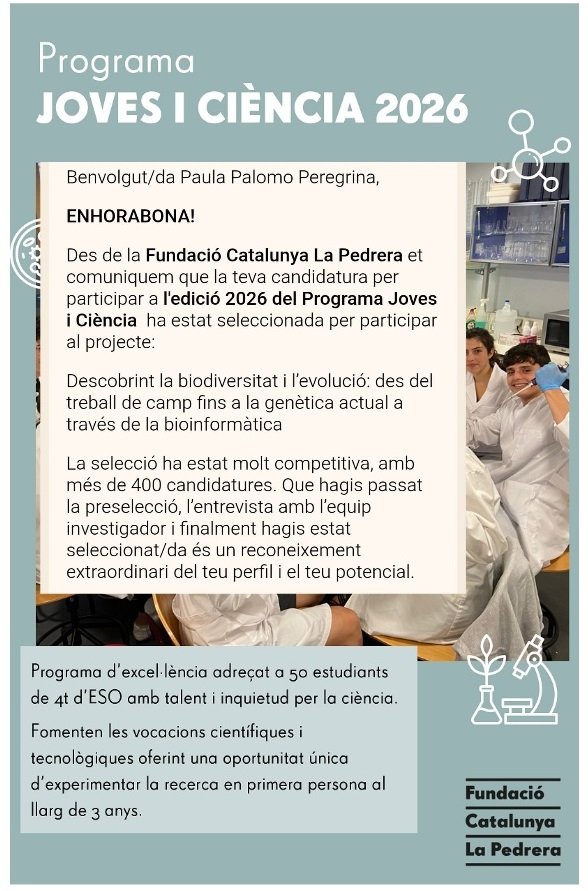 Ricardo Palomo 🔻 tweet media