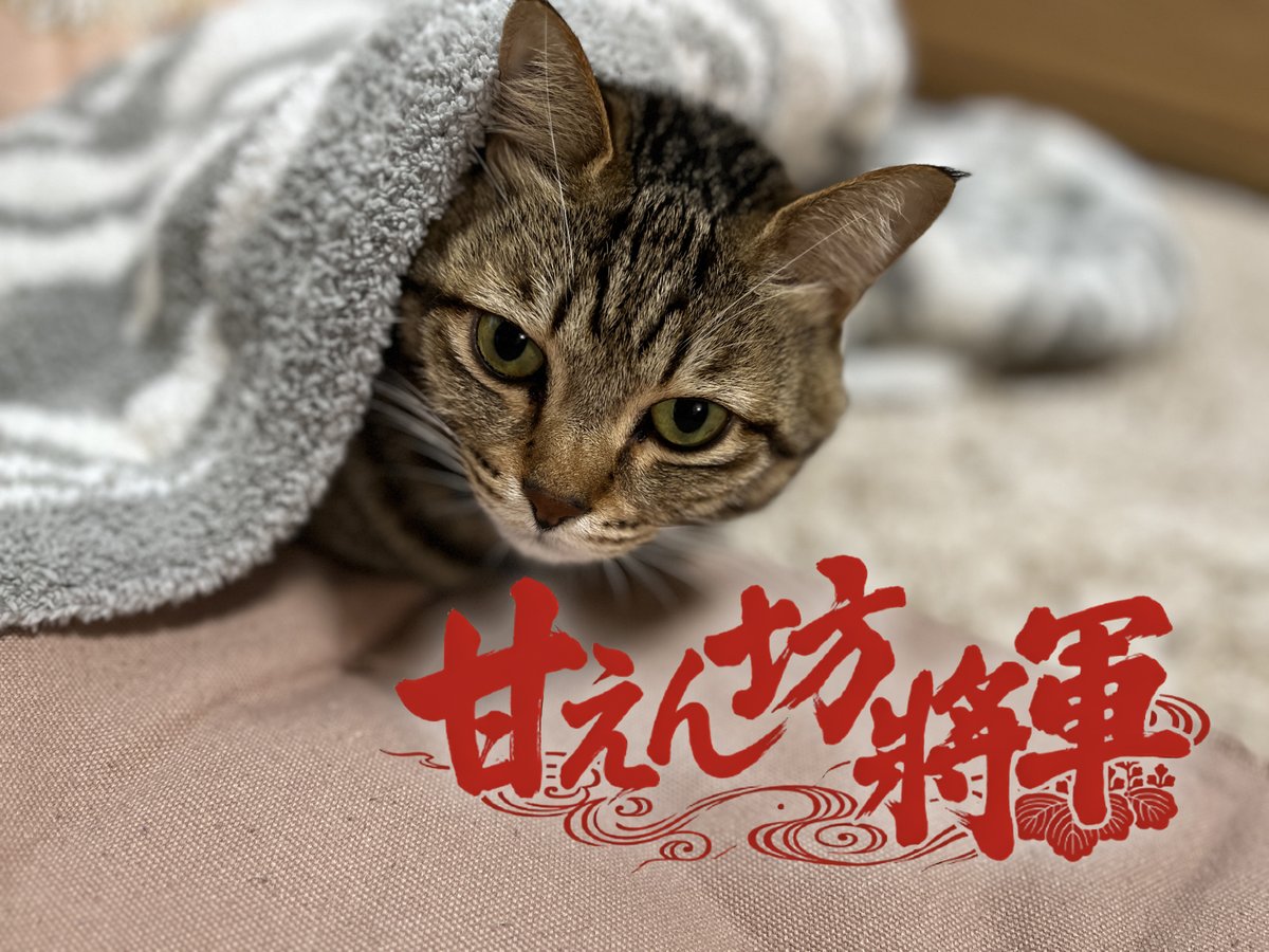 甘えん坊将軍現る