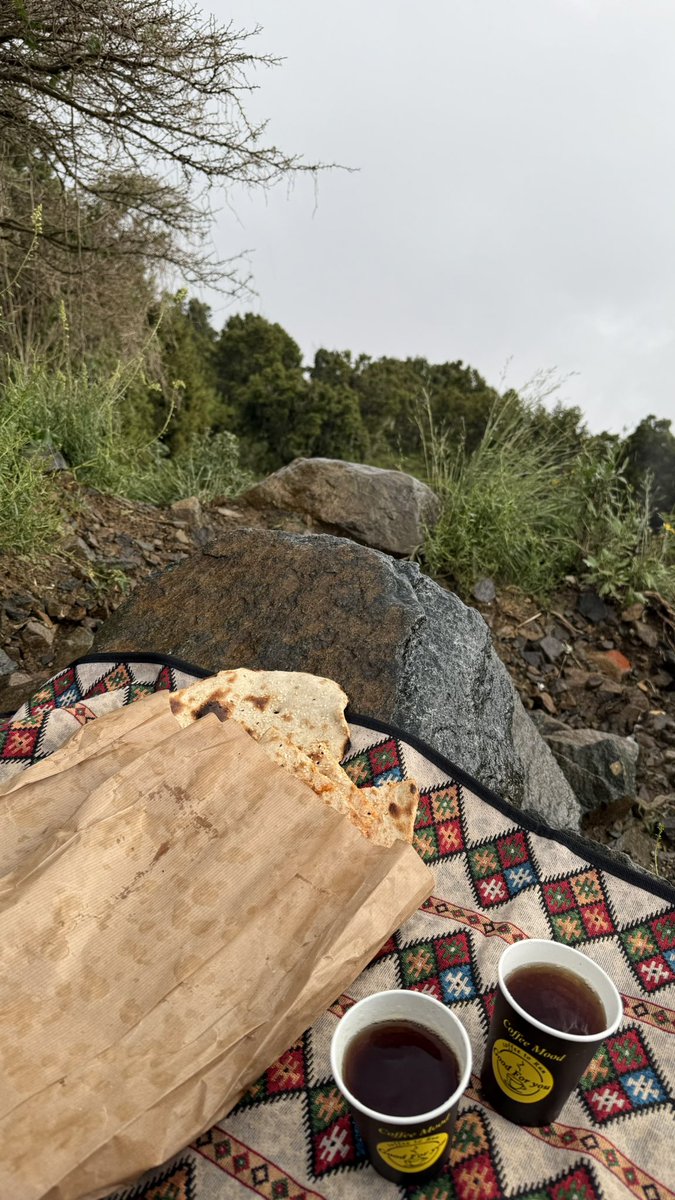 _joalsu's tweet photo. جبال السودة ⛰️ https://t.co/LzFlgUL9NQ
