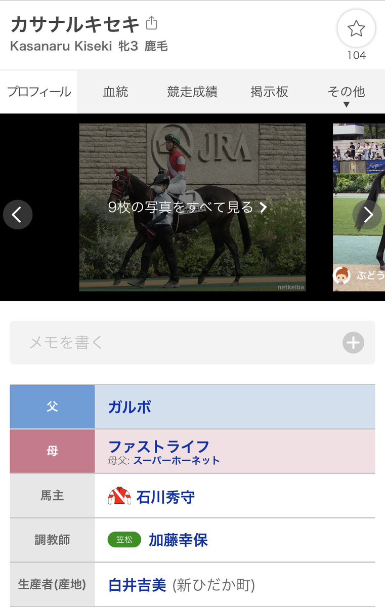 気まぐれ競馬語り(マイナー種牡馬応援) tweet media
