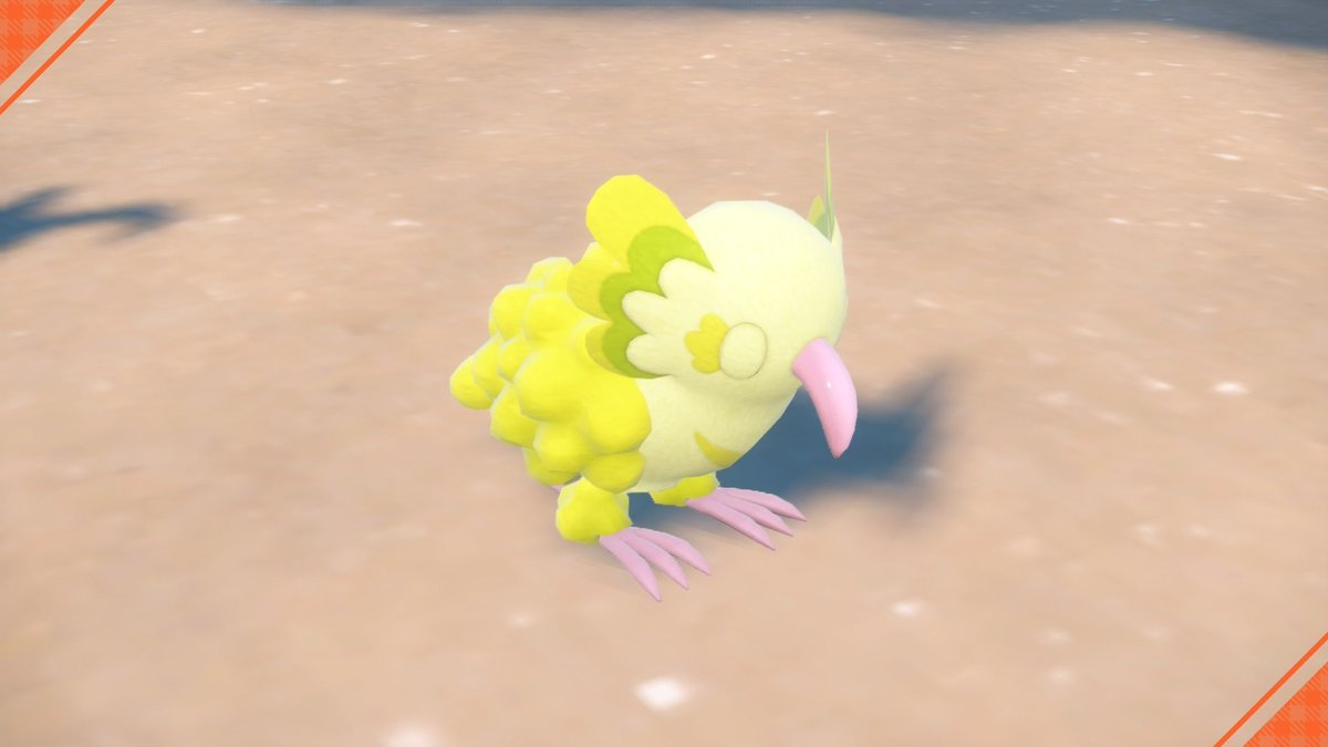 オドリドリ ポケモン
