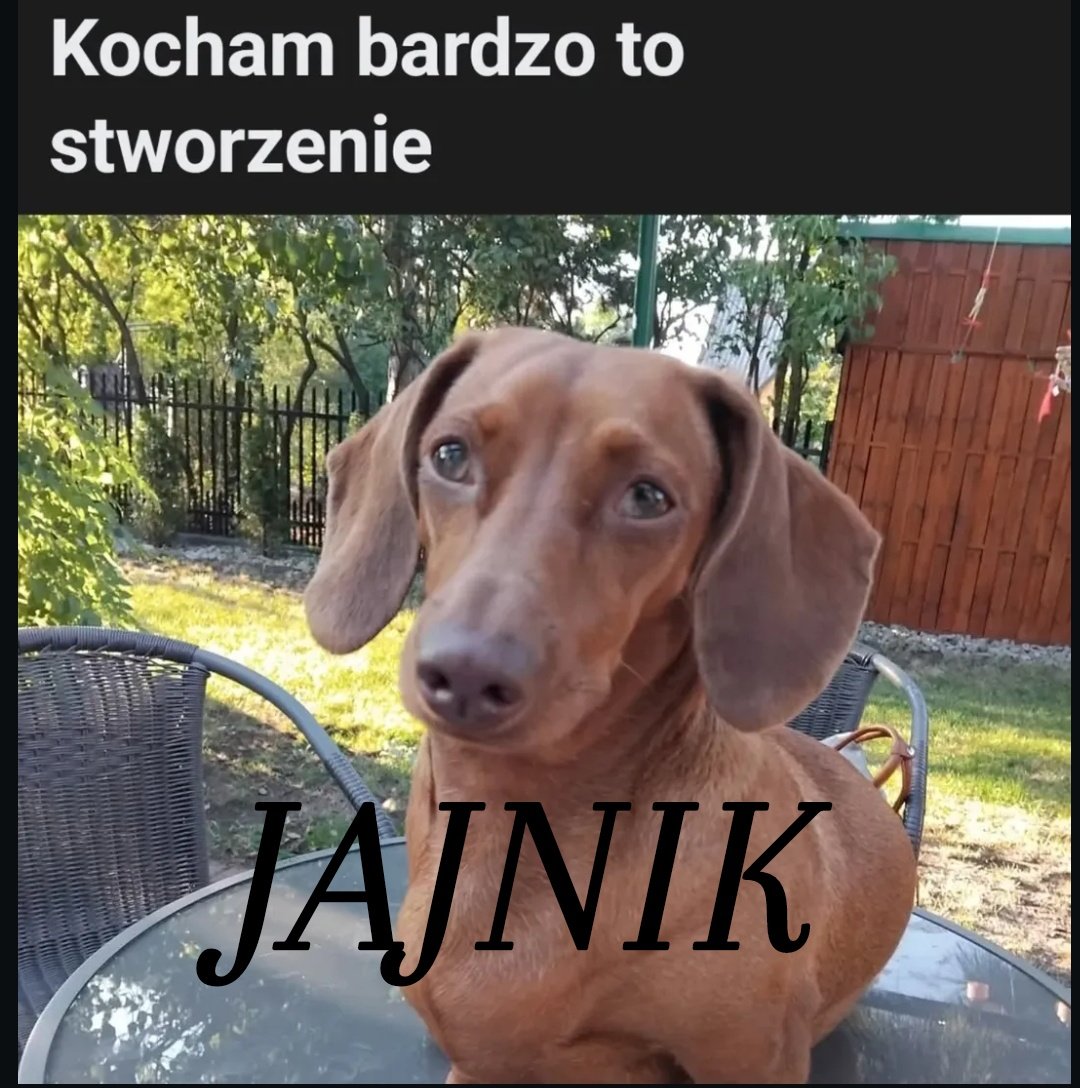 natalka tweet media
