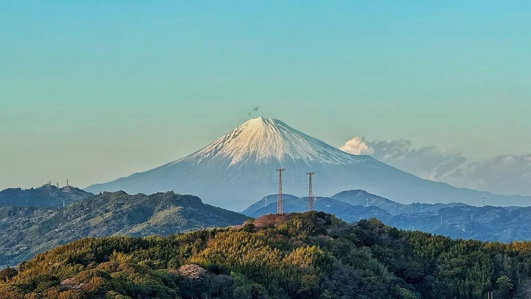 Moonlight silently climbs over the walls of the grain store.