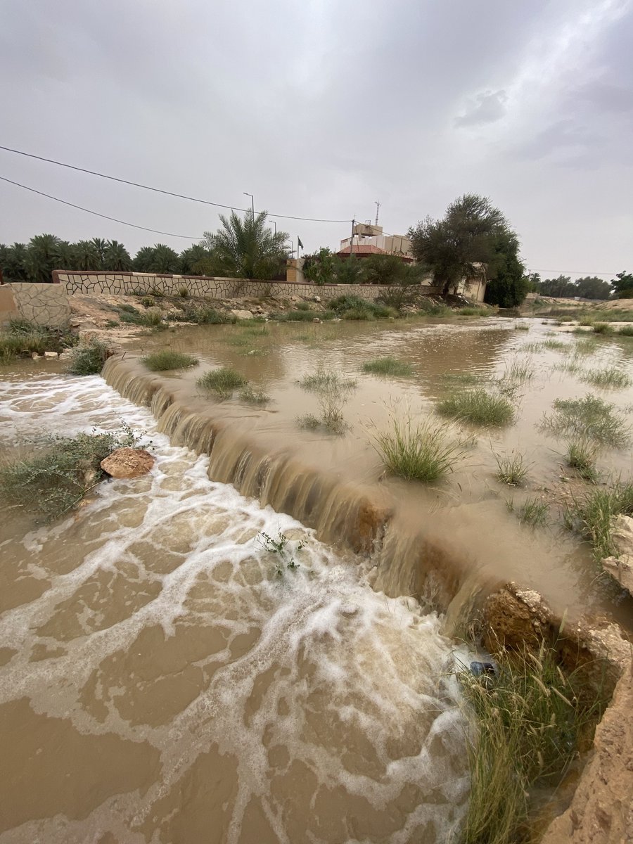 ابوعبدالله الفيصل tweet media