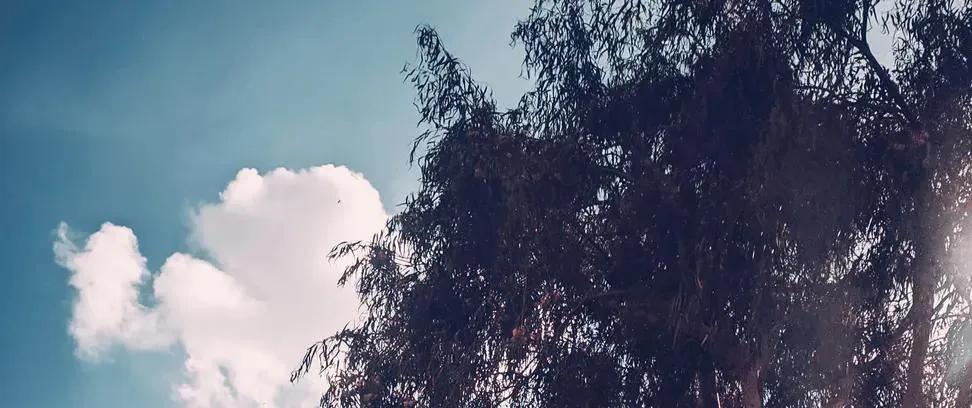 خـبـايـا tweet media