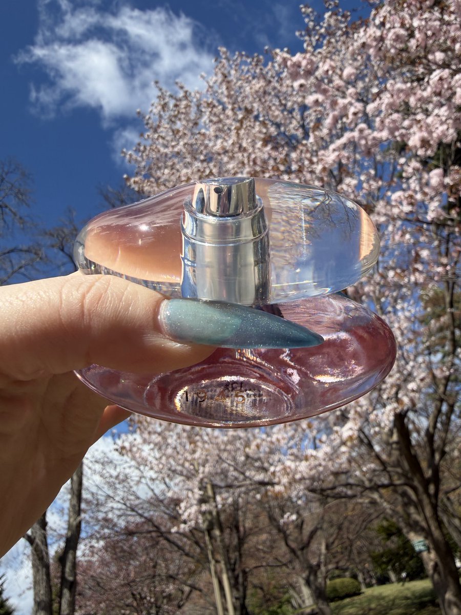 SL_sapporo's tweet photo. 先日中島公園に桜を見に行ってきました✨桜と一緒にパシャリ📷
空も綺麗でした😍
まだ肌寒かったけど春ってワクワクしますね♪
#fragrance #香水　#札幌　#STELLAPLACE #SHOLAYERED #さくら #FragranceDay https://t.co/fNeIJS8biI