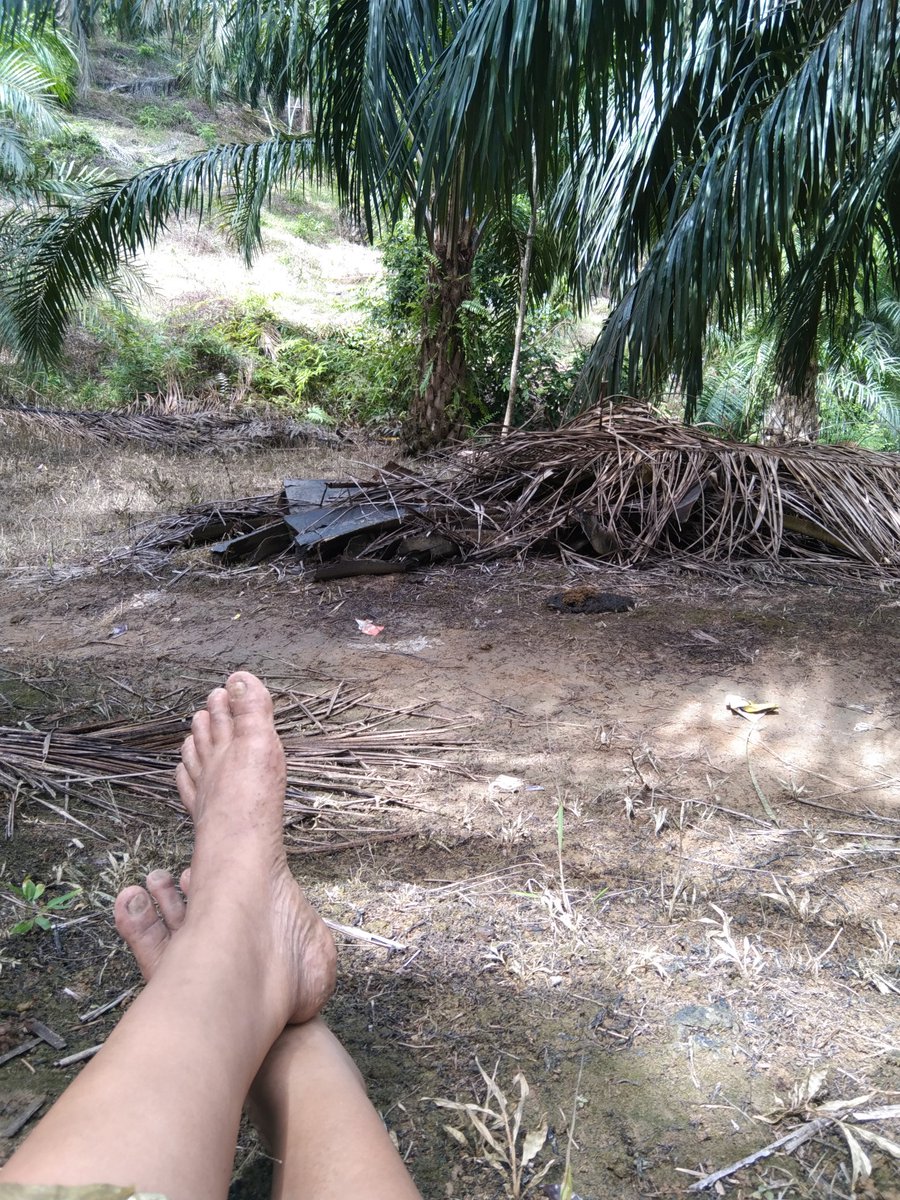 BWardini62031's tweet photo. Dikebun https://t.co/IsndK6eyP0