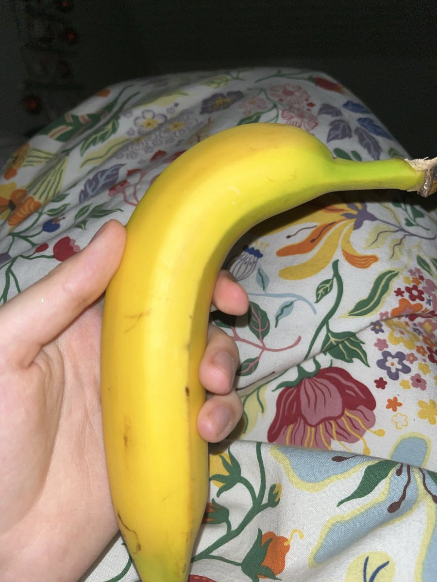 LewdsyNyaa's tweet photo. My penis, if you cared https://t.co/49xraAGVzg