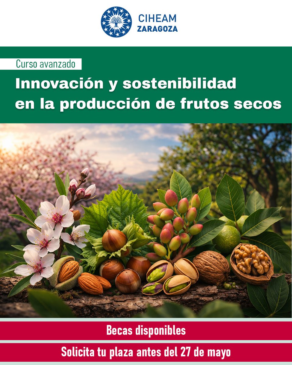 CIHEAMZaragoza's tweet photo. Últimos días para solicitar plaza en el Curso Avanzado “Innovación y sostenibilidad en la producción de frutos secos”

📍 Zaragoza + online
📅 21–26 septiembre 2026
⏳ Solicitudes hasta el 27 mayo
🎓 Becas disponibles
🔗https://t.co/0jJRllPmOT

#FrutosSecos #AgriculturaSostenible https://t.co/eTksTuMNii