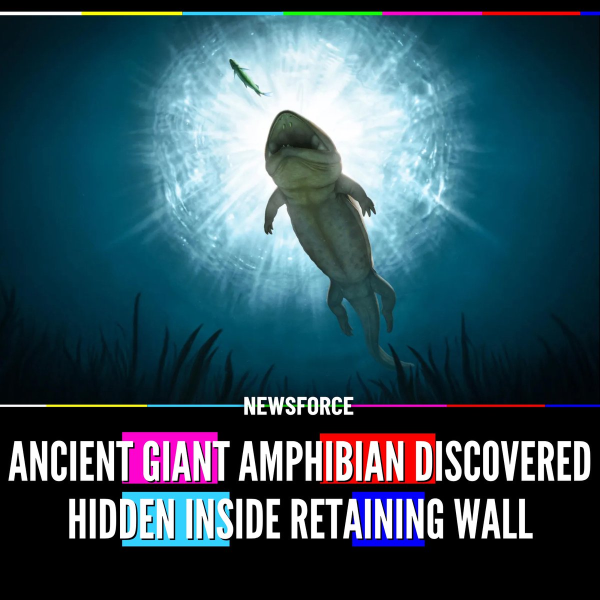 🚨ANCIENT GIANT AMPHIBIAN DISCOVERED HIDDEN INSIDE RETAINING WALL ...