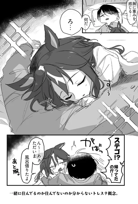 そういうトレステ概念 