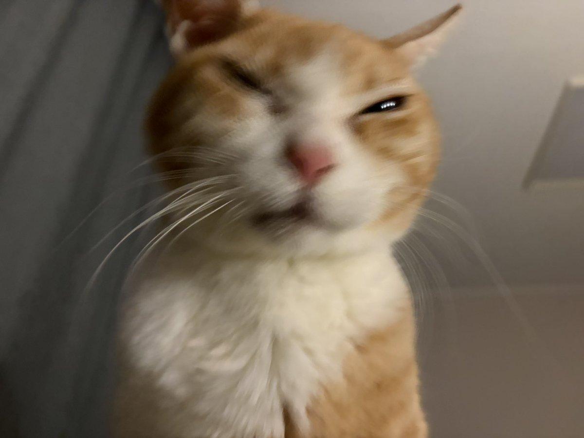 킼키키키킼ㅋㅋㅋㅋ