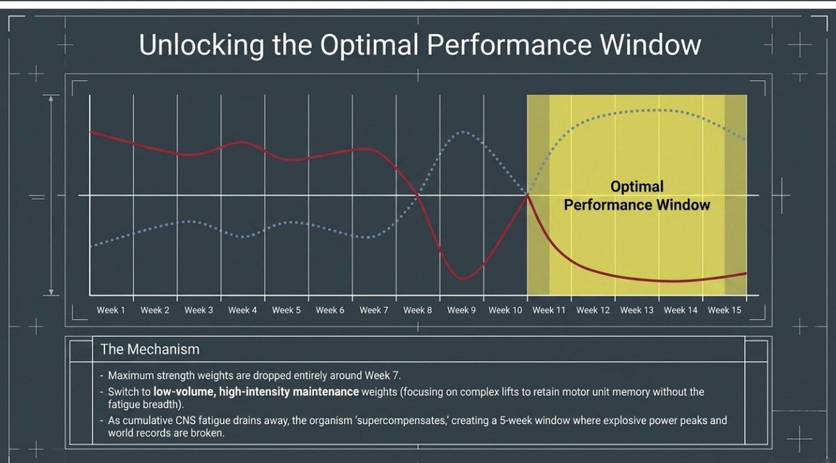 CoachJoeyG's tweet photo. Charlie Francis understood that training was more of a neural equation than structural. 
Protecting the recovery windows allowed for the realization of development of the anaerobic systems. Many of the current training concepts seen in D1 football are derivatives of his teachings https://t.co/iUzcpPHdLN
