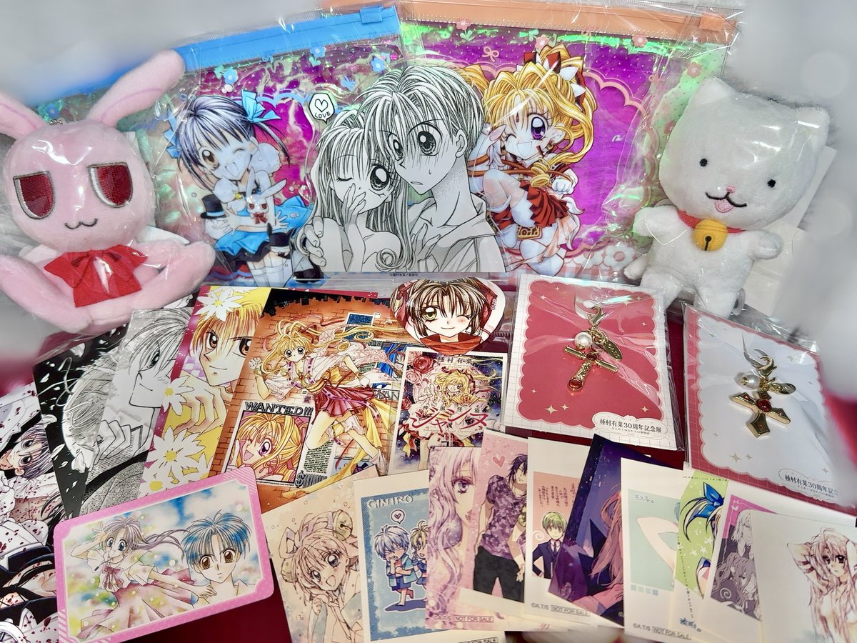 大好きな種村有菜先生の30周年記念展示へ…!!!
これ本当に原画!?って疑うレベルの繊細すぎるイラストたち。
でもよく見ると修正跡があったりして、本当に人の手で描かれてることに震えた…。
ネームもカラーもあり圧倒的な量で終始ため息。
贅沢すぎる空間…!!!行けてよかった🫶✨