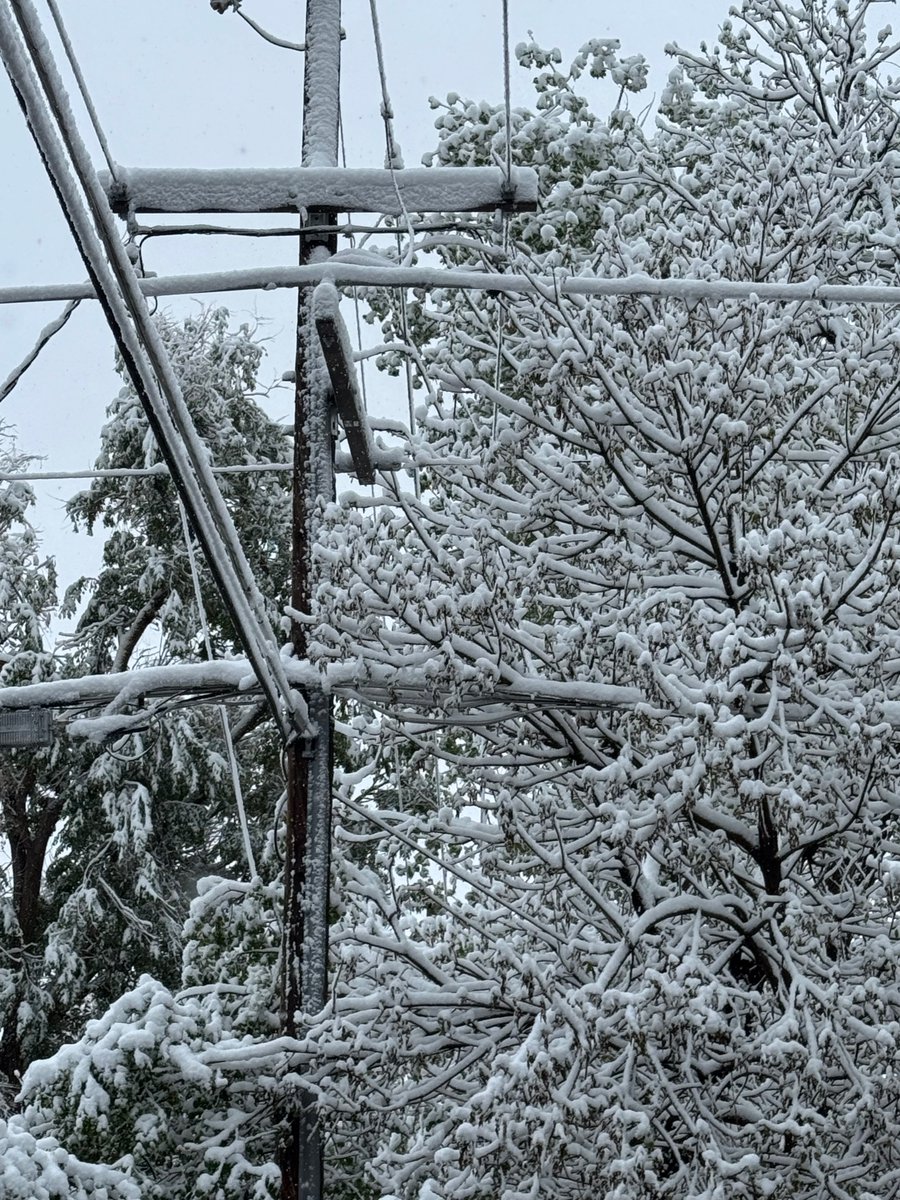 Xcel Energy Colorado tweet media