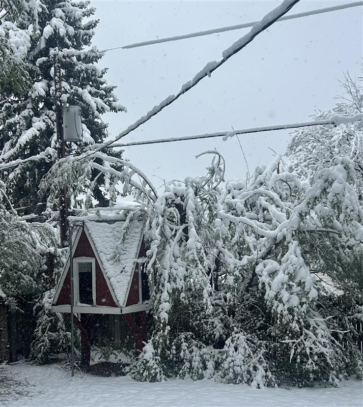 Xcel Energy Colorado tweet media