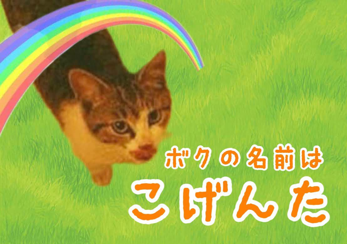 檸檬 tweet media