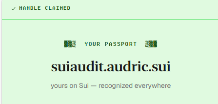 💧SuiAudit💧 tweet media