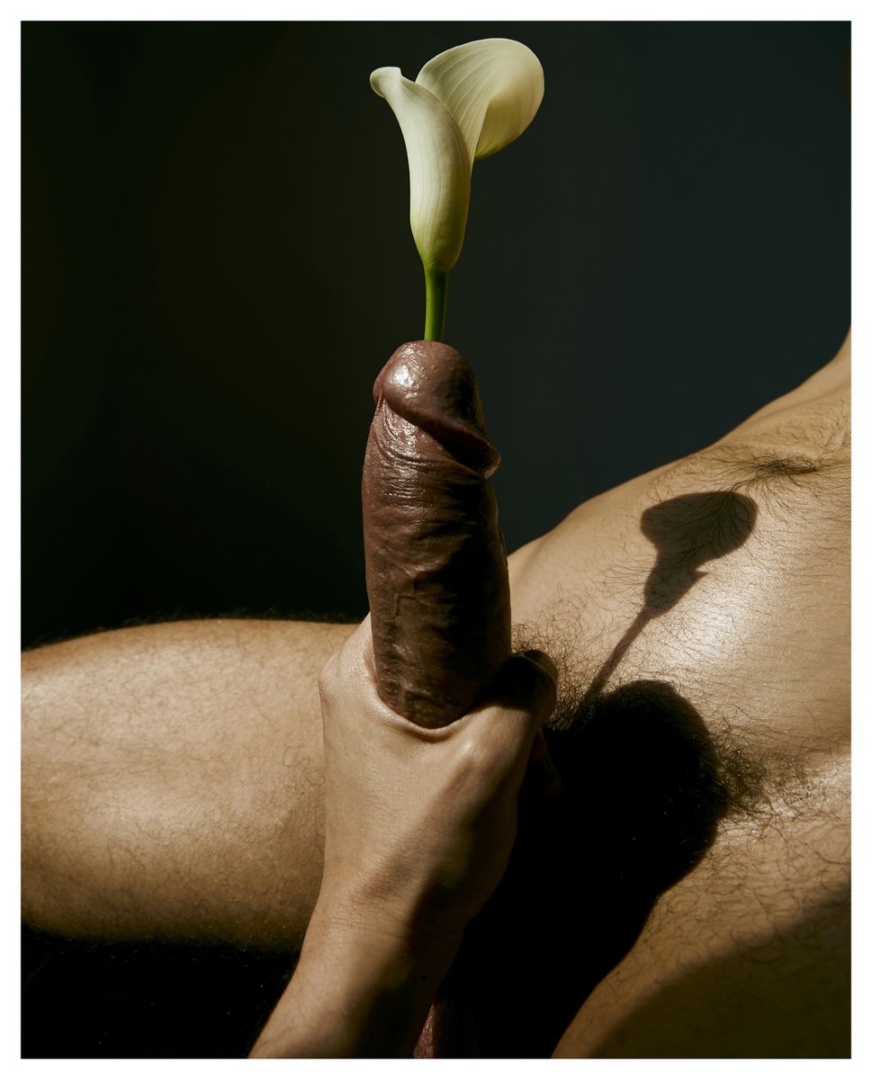 BOYZ & Flowers tweet media