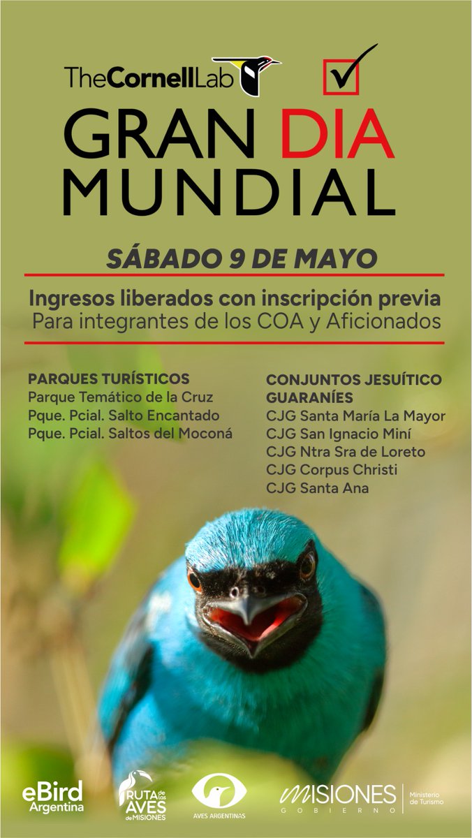 Noticiasdel6.com tweet media