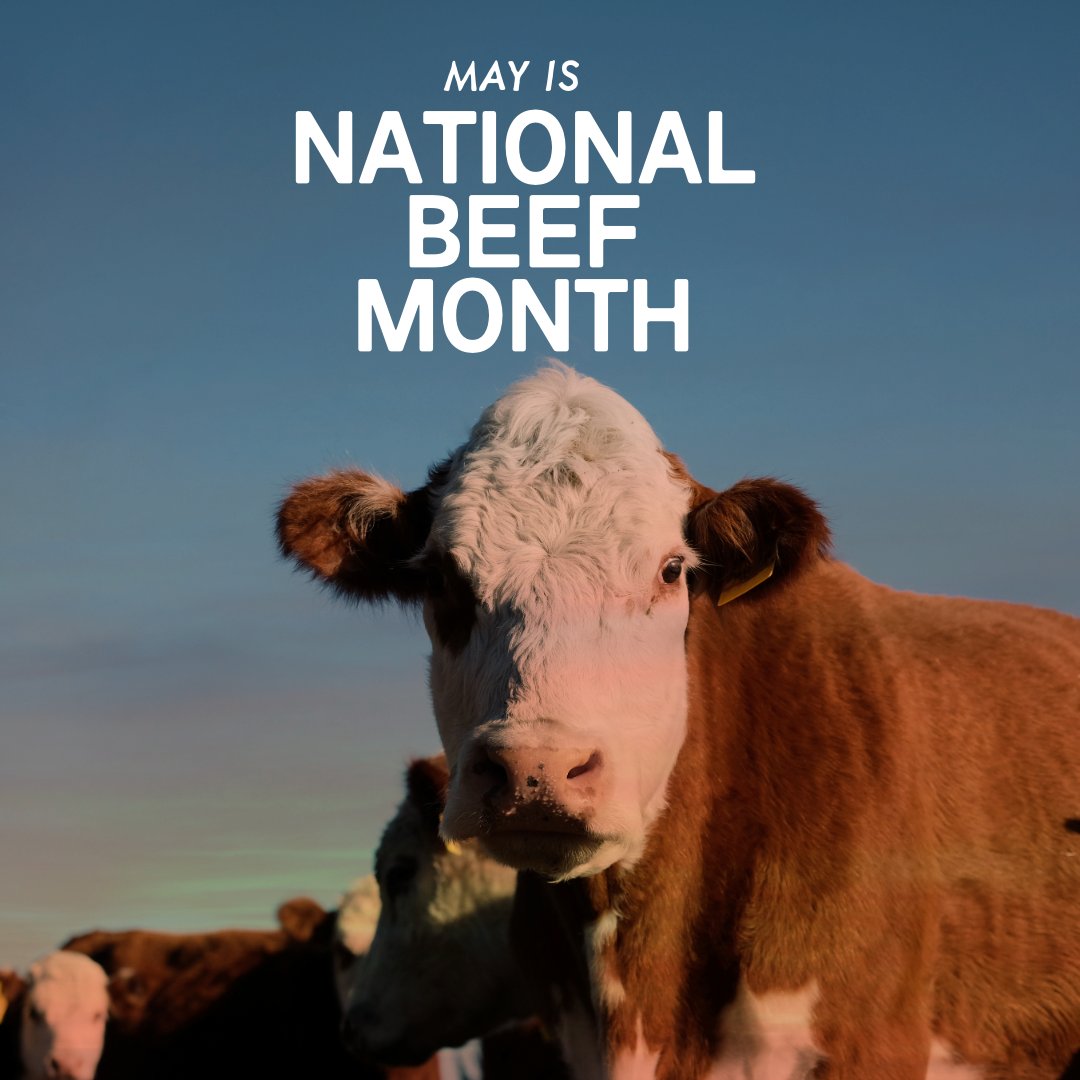 EBMConst's tweet photo. May is National Beef Month! 🐄

We’re proud to support the cattle industry with feed and grain systems built for performance, durability, and efficiency.

👉 https://t.co/7nPsBqa5sa https://t.co/BqdpEhhWtU