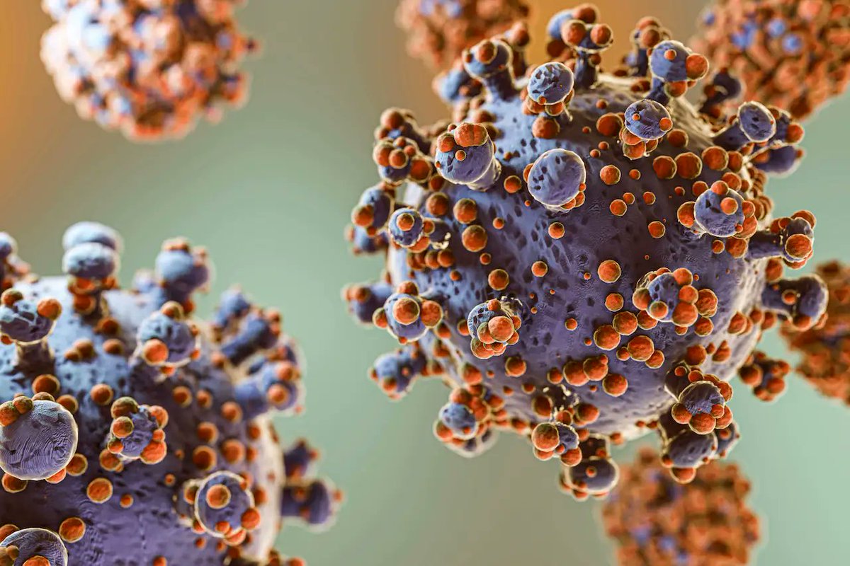 Florenpatriotaq's tweet photo. They say hantavirus similar to those of COVID-19 that is the coronavirus I tell you don't believe it don't fall for this lie They're making us sick from the sky with chemtrails so we'll go to the doctor and they'll have an excuse to say we've been infected with hantavirus https://t.co/gBWG3iVK7c