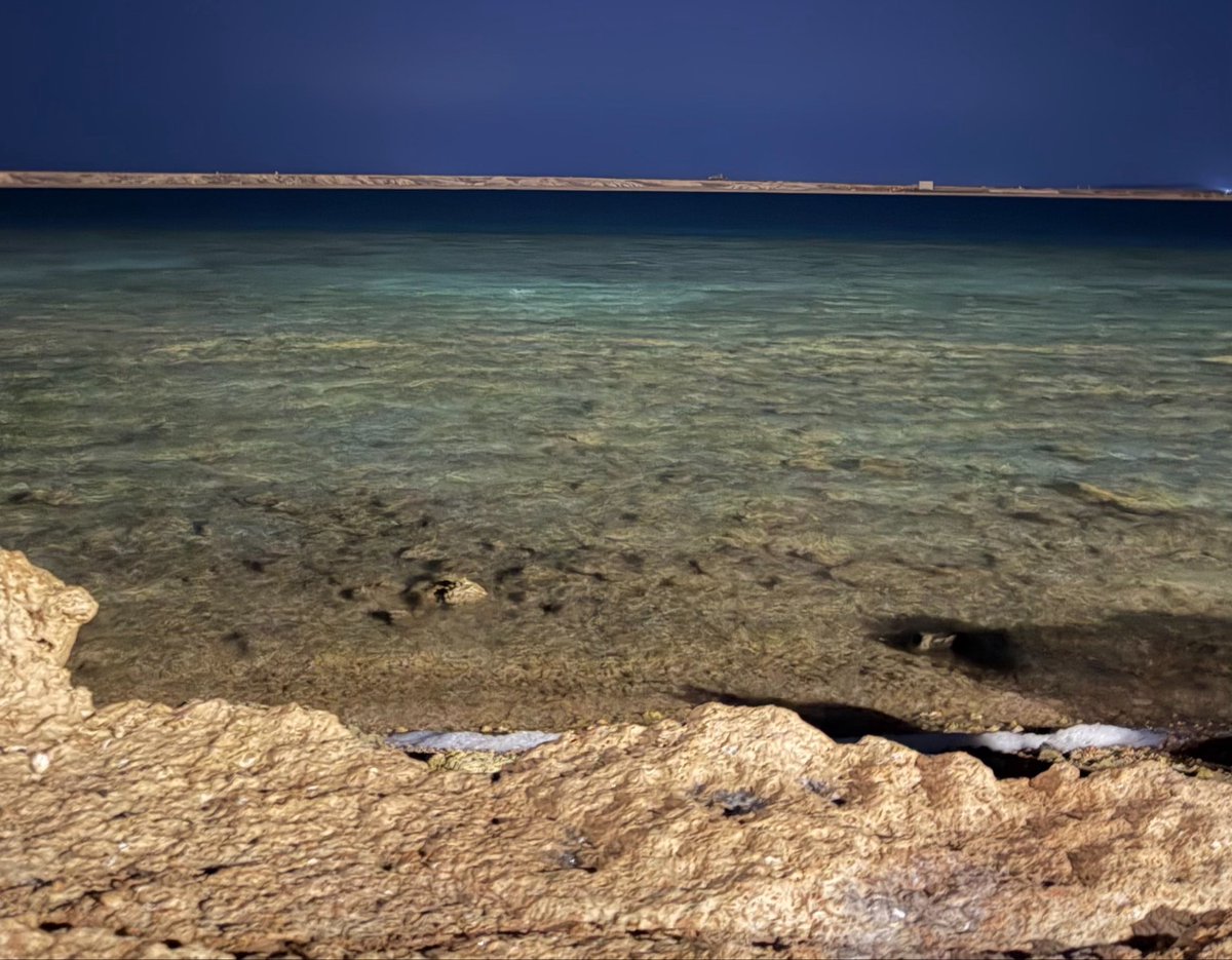 رائد المحياوي tweet media