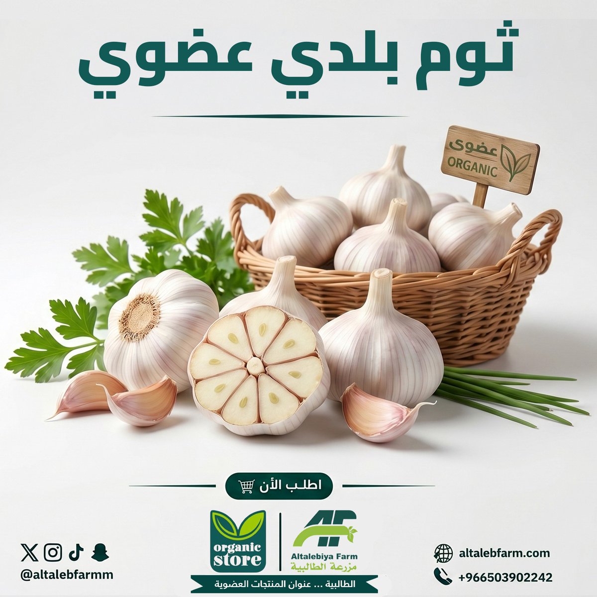 altalebfarrm's tweet photo. ( لمحبي الثوم العضوي )! ✨🌱

استمتعوا بنكهة الثوم العضوي الطازج من مزارعنا العضوية! 🌾🧄 https://t.co/GDLs0Kx7ph