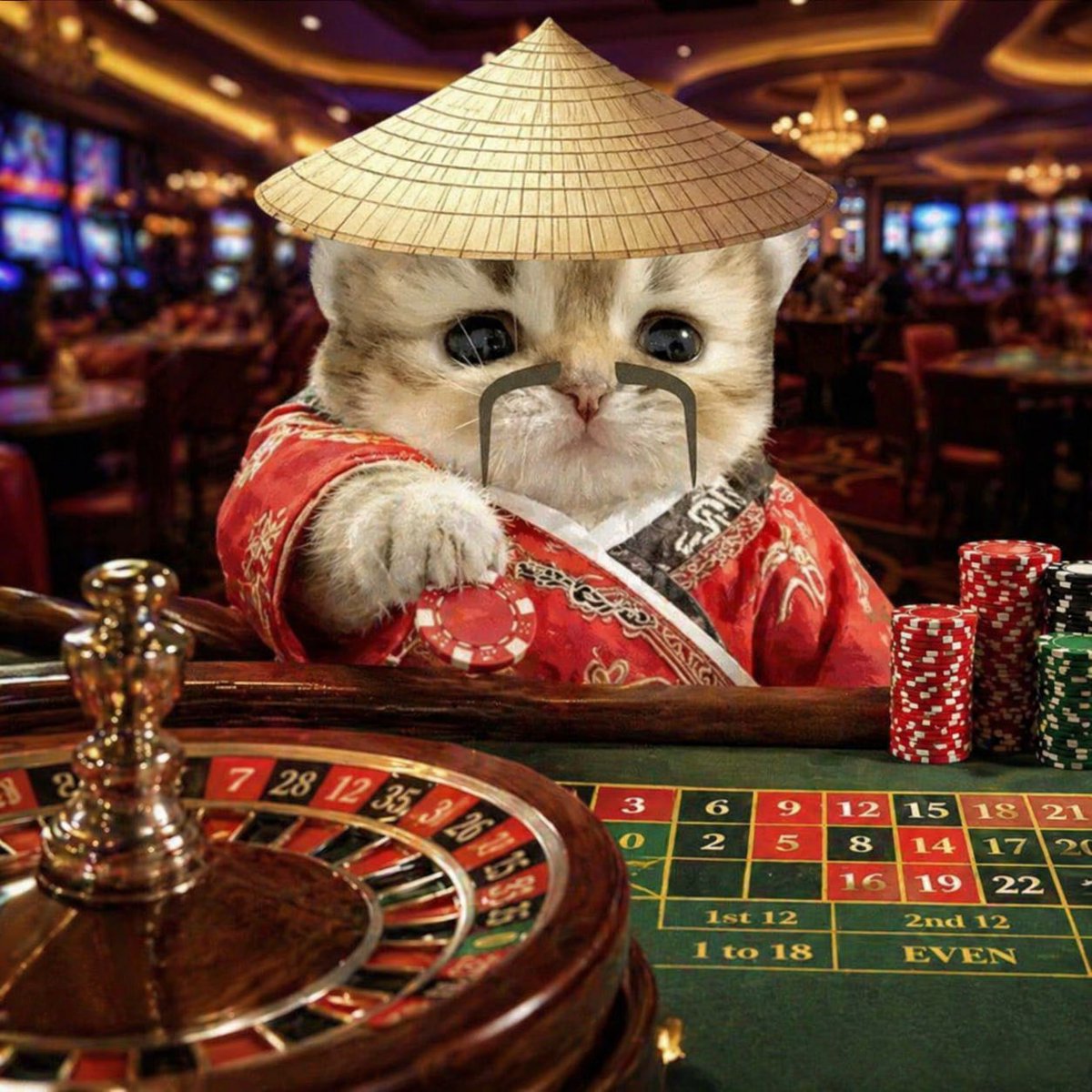 Cattin☆彡 tweet media
