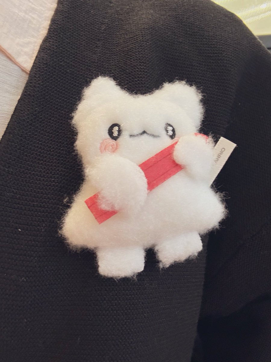entn_trpg's tweet photo. ｻﾝﾘｵｼｮｯﾌﾟで買ったブローチ👻 https://t.co/yD3eZz9EgR