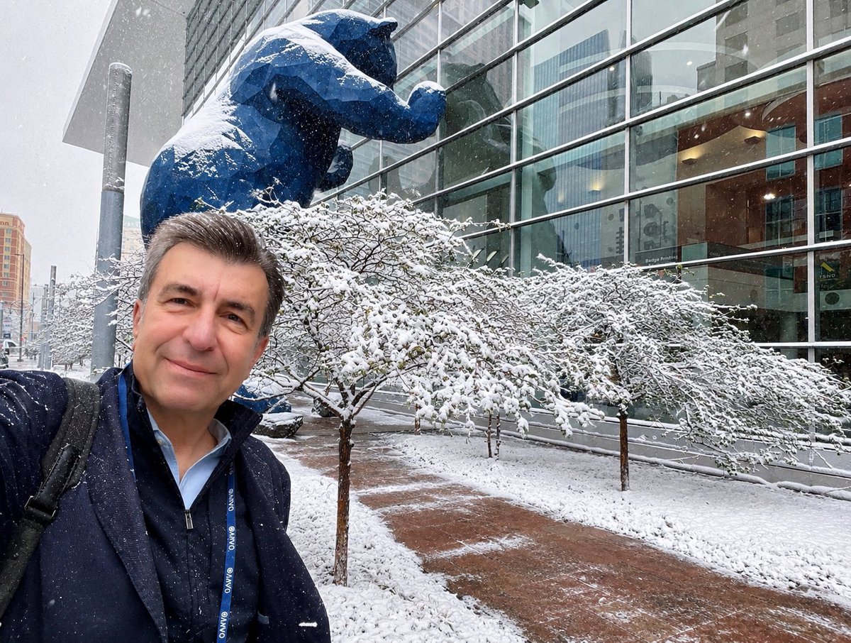 pablo_artal's tweet photo. @ARVOinfo winter 🤪
I like it! https://t.co/tVMIQIKtxa